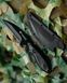 Нож Smith & Wesson black 30732 фото 4
