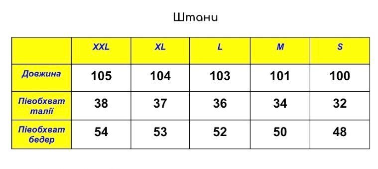 Чоловічі флісові спортивні штани чорного кольору S FLISi фото