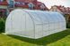 Садовая теплица 24 м&sup2; (8 х 3 х 2 м) с армированной пленкой UV-4, с окнами, Прозрачная (Польша) 4812 фото 3