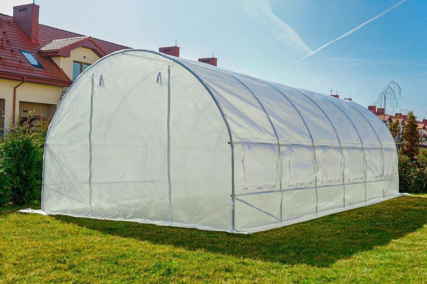 Садовая теплица 24 м&sup2; (8 х 3 х 2 м) с армированной пленкой UV-4, с окнами, Прозрачная (Польша) 4812 фото